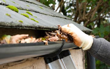 gutter cleaning Western Hill, County Durham