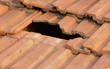 roof repair Western Hill, County Durham